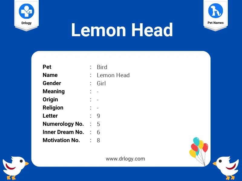 Lemon Head Name Meaning